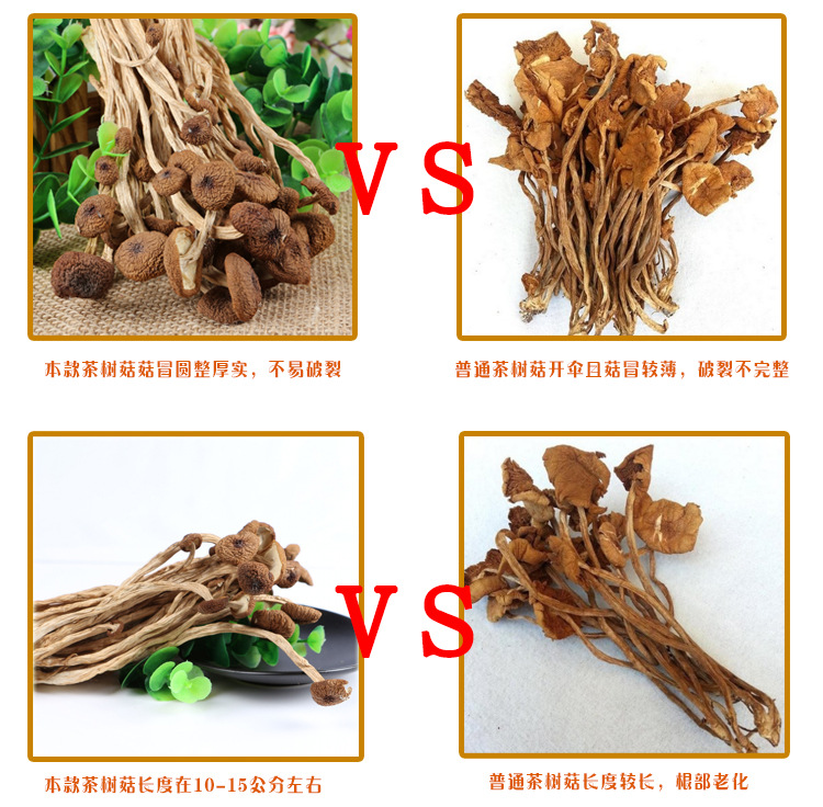 古田茶树菇 不开伞无熏硫干货 冰雹菇 散货 茶薪菇