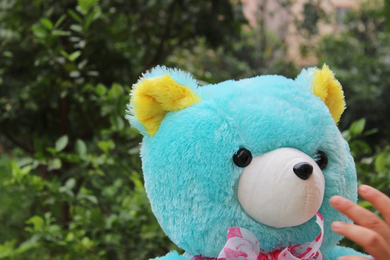 彩色泰迪熊批发抱抱熊 毛绒 玩具 大号 熊公仔 布娃娃