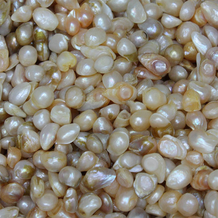 天然淡水珍珠 药用珍珠 高档磨粉珍珠原料 供佛 原料珍珠