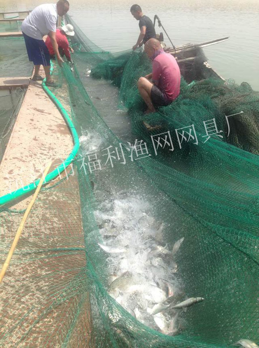 沉浮式捕魚網 抬網充氣抬網 漁具特價價格 - 中國供