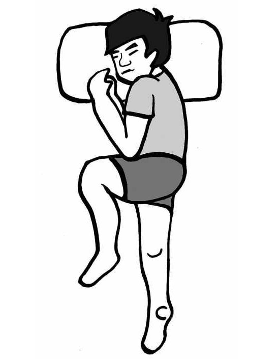 向动物学睡觉 病龙眠 寒猿眠 龟息眠