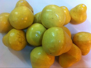 厂家直销迷你梨子场景布置用品