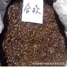 绿意盎然：苗木批发市场的行业动态