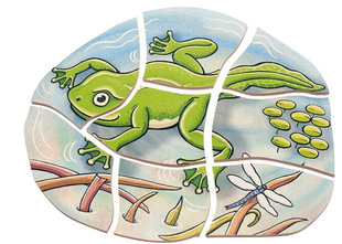 德国贝乐多智力多层拼图-青蛙 儿童益智早教玩具木制3d立体嵌板