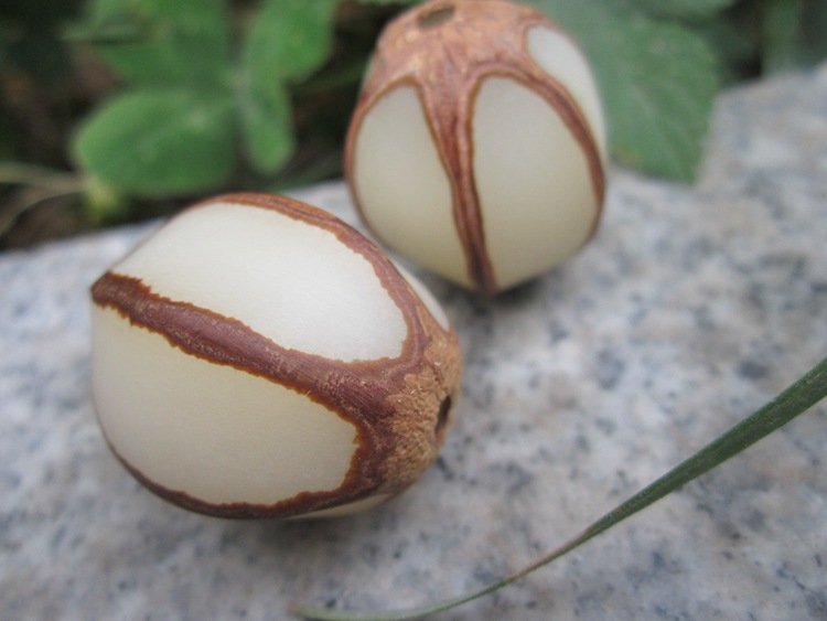 直销现货批发 &nbsp; &nbsp;&nbsp;&nbsp; 菩提子是一种自然的果实,是