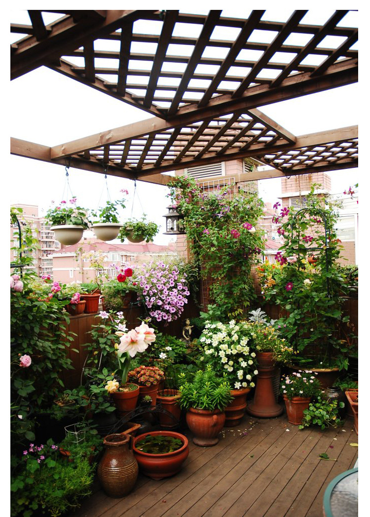 厂家供应蓝火焰广谱内吸灭生性除草剂5kg