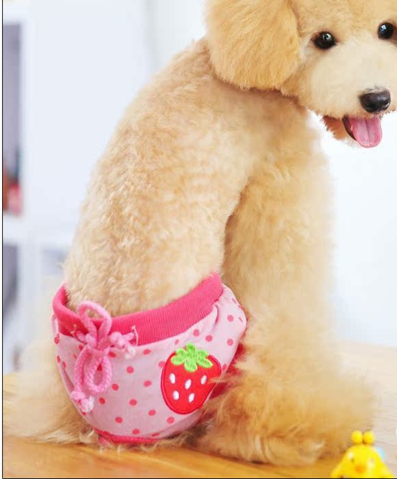 宠物狗狗生理裤卫生裤厂家泰迪月经裤母狗裤批发