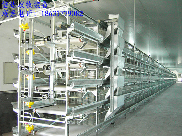 蛋鸡鸡笼设备 镀锌鸡笼 三层鸡笼子【精品推荐】