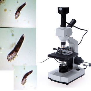 光学显微镜专业便携学生专业科学生物螨虫检测仪 高清分析仪批发