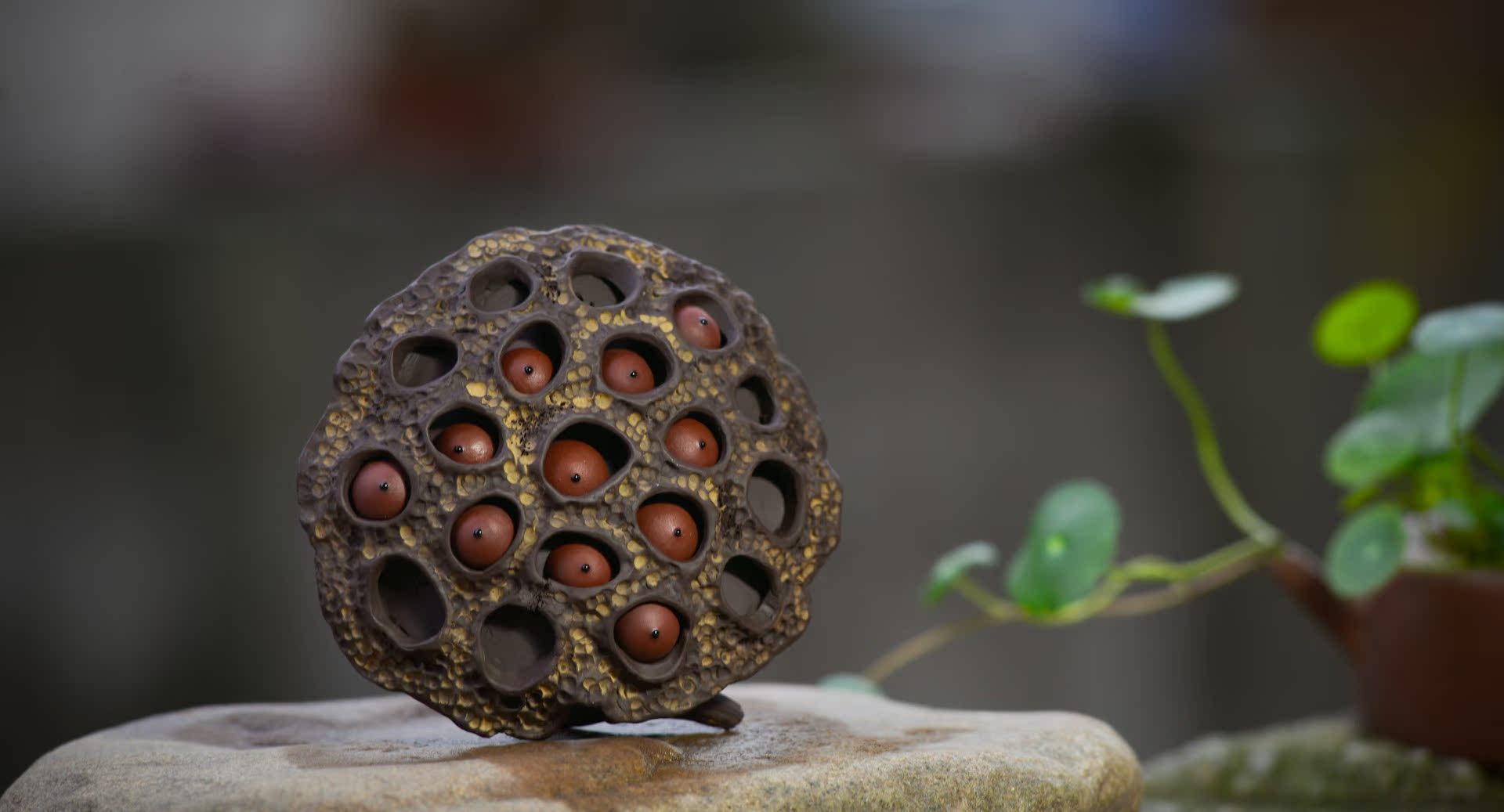 御龙紫砂 独家货源/工艺大师全手工制/精致莲蓬茶宠雕塑