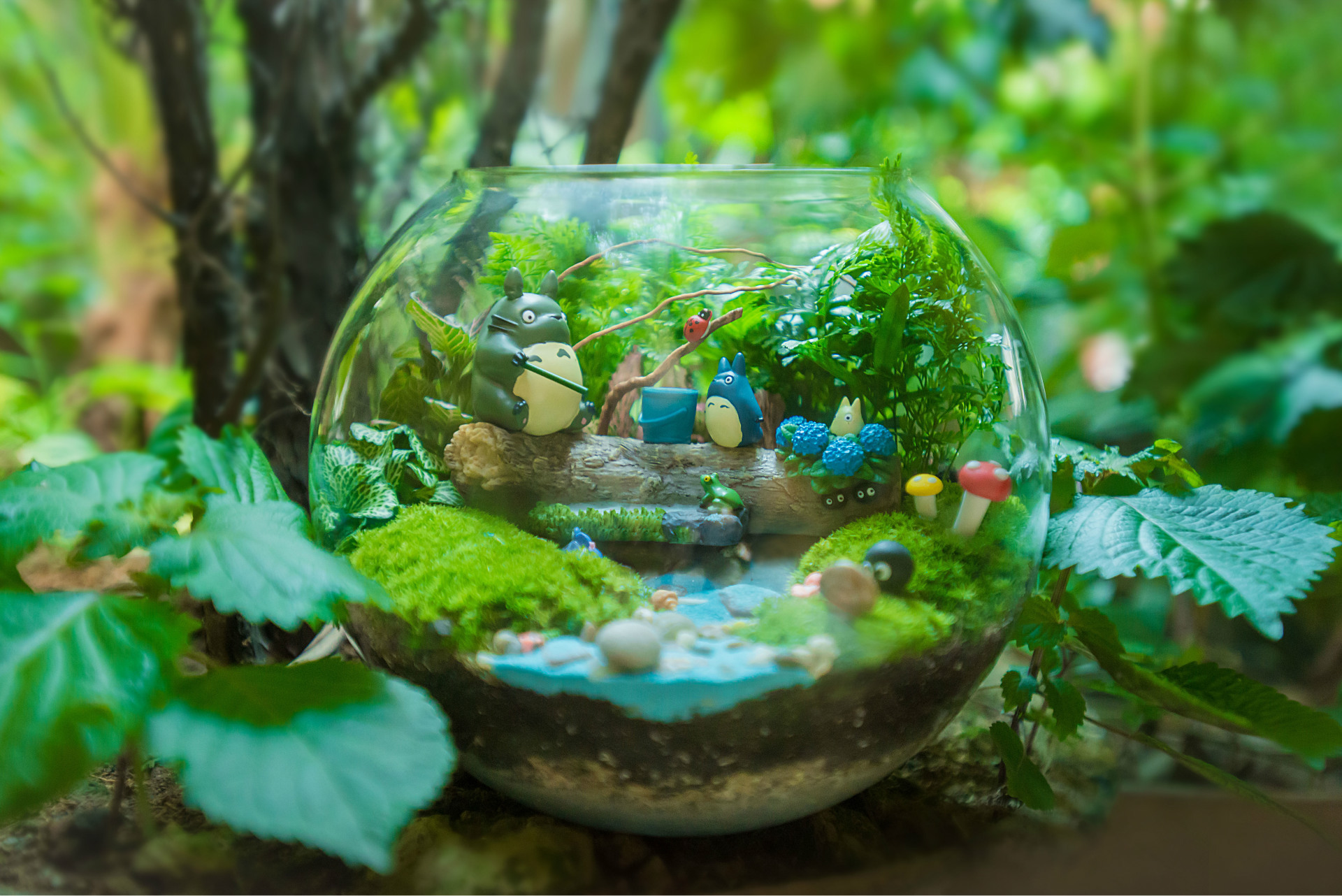 微景观植物微景观背景植物袖珍椰子