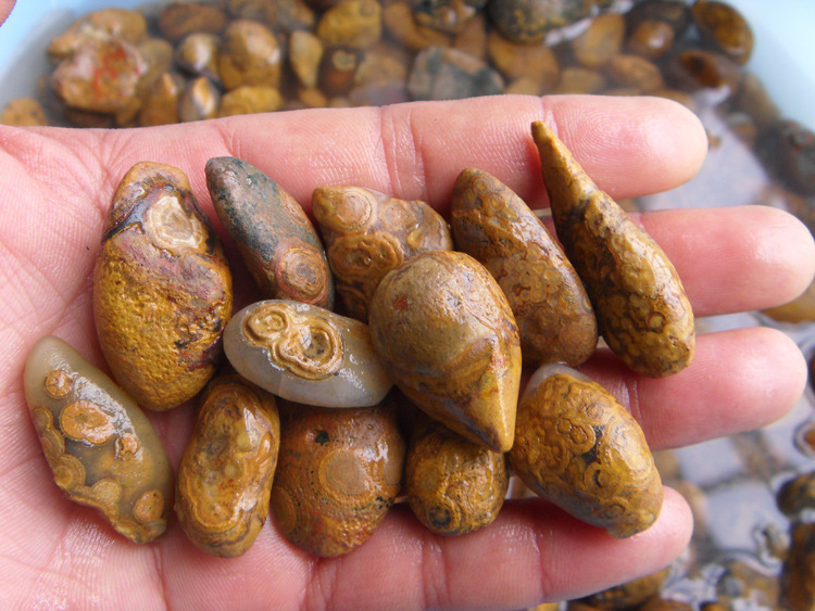 西藏天珠 九眼石页岩原石 吊坠料 每公斤 (小个)