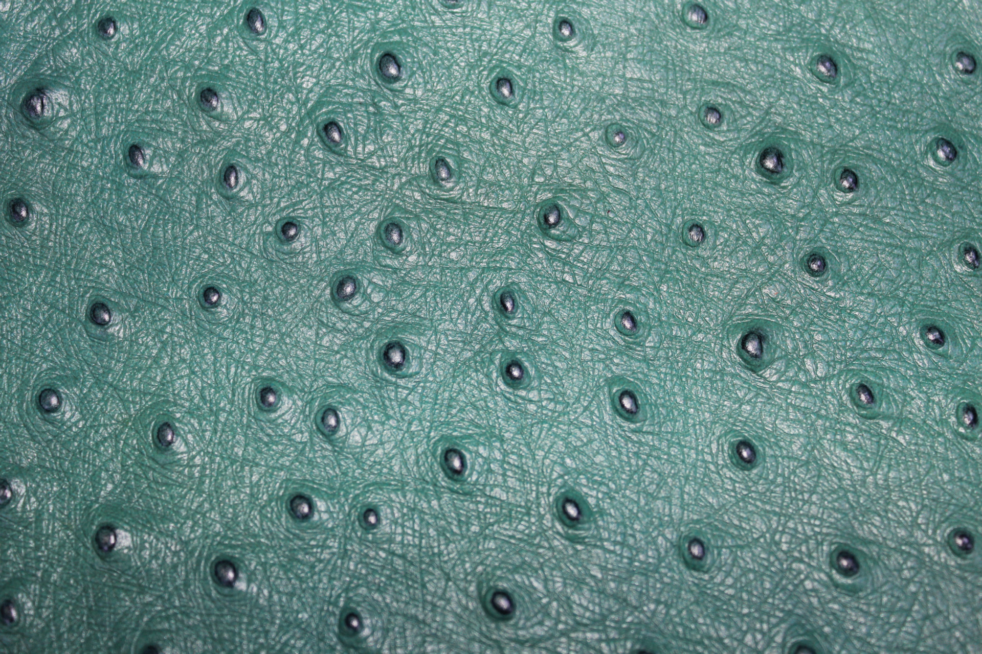 【新品上市】可订货高品质牛皮革 压花鸵鸟纹头层 优质皮革批发