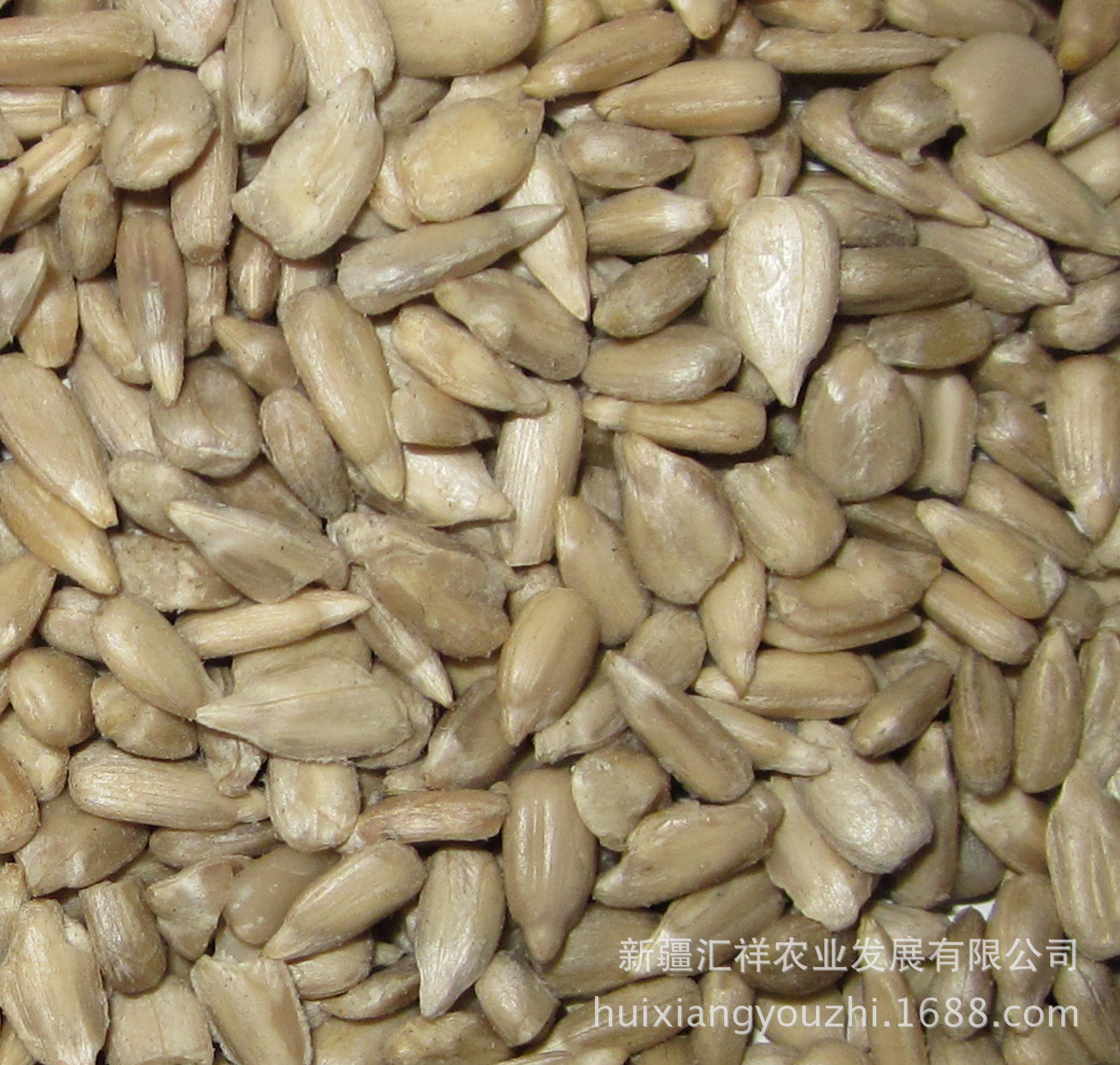 葵花籽 榨油用 出油高 品质好 厂家直销 价格优惠