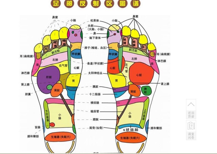 厂家直销百步康超能健康走毯 足底脚底按摩垫 石子路走毯 步步康