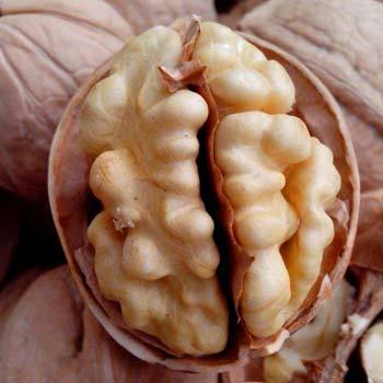 薄皮b货/新疆阿克苏新2薄皮核桃/小额批发/团购/礼品/蚨瑞庄园