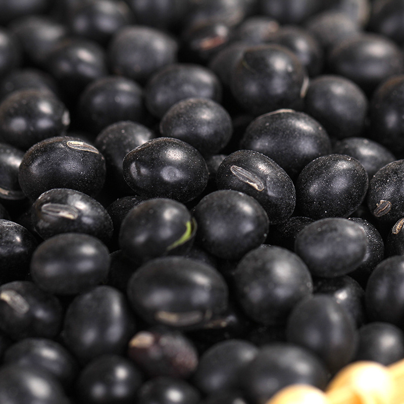 厂家直供 东北特产五谷杂粮批发 沙禾有机黑豆340g