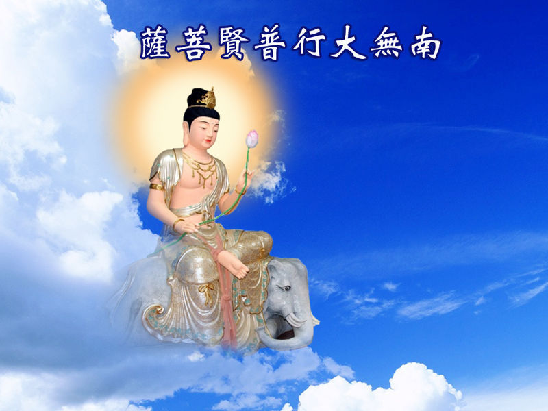 顶礼十方三世诸佛菩萨!