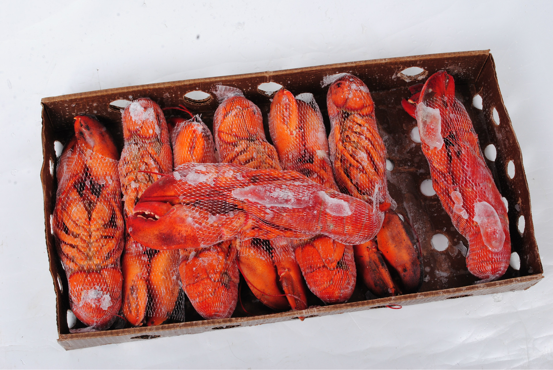 供应冷冻熟冻加拿大龙虾