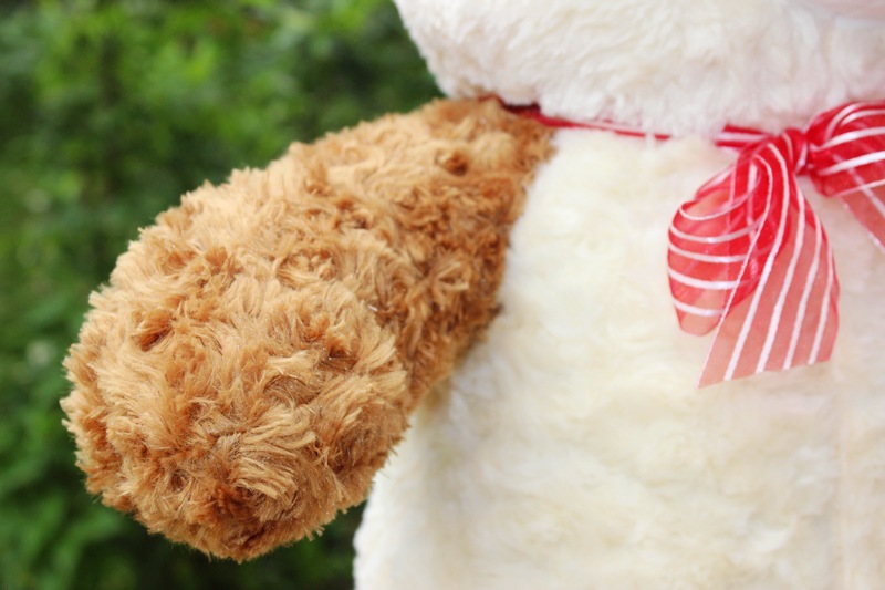 彩色泰迪熊批发抱抱熊 毛绒 玩具 大号 熊公仔 布娃娃