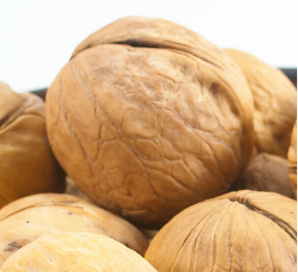 姚台散纸皮核桃皮薄肉厚20斤