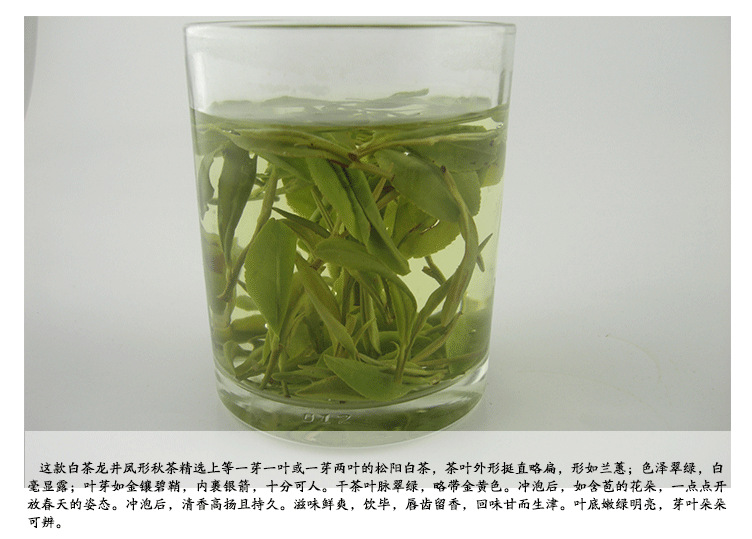 【白茶条形秋茶47】价格,厂家,图片,绿茶,松阳县绿春茶叶专业合作社