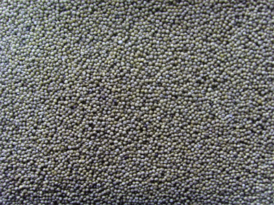 黑小米 机关单位公司员工福利 五谷杂粮