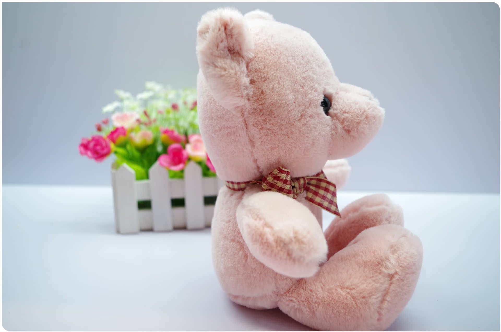 五彩熊 泰迪熊 娃娃毛绒玩具 公仔 站立式