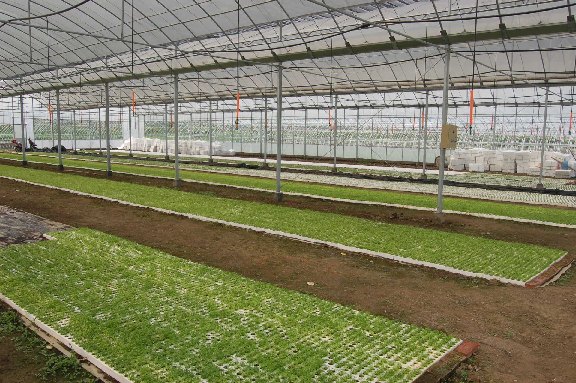 厂家直销 定做 温室大棚热镀锌苗床 固定式苗床