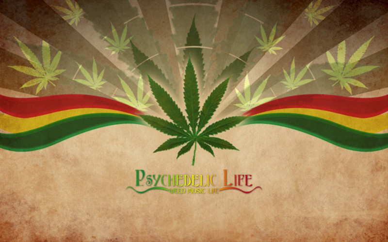 枫叶麻叶滑板女袜情侣原宿潮男袜子运动棉袜纯棉男袜袜子厂家批发