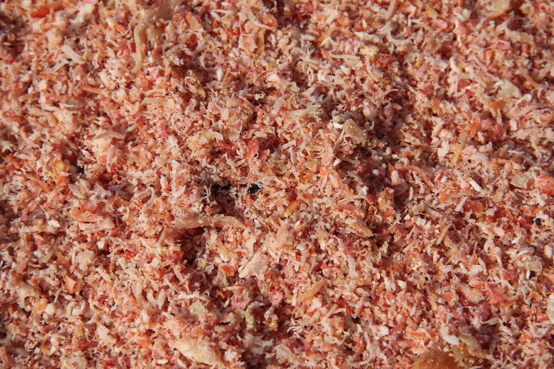 鲜虾粉 免费样品验货