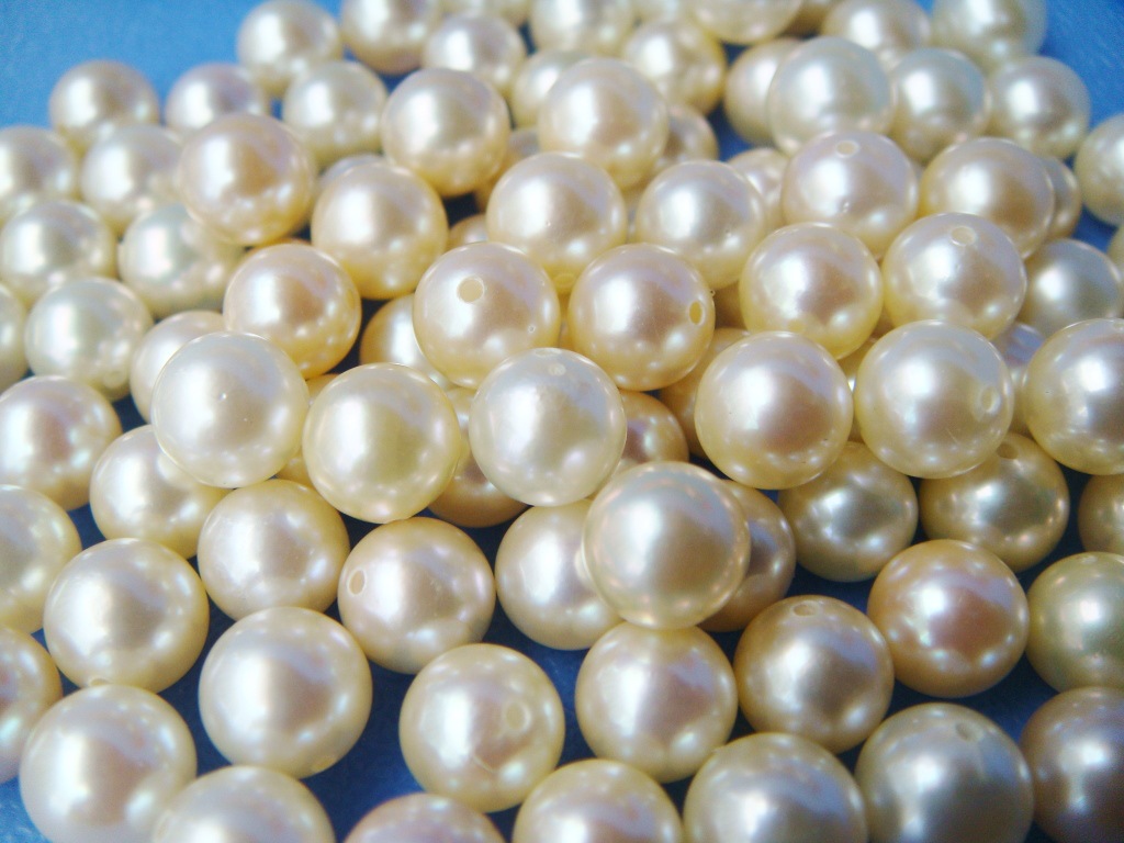 ؼˮɢ akoya Բ 