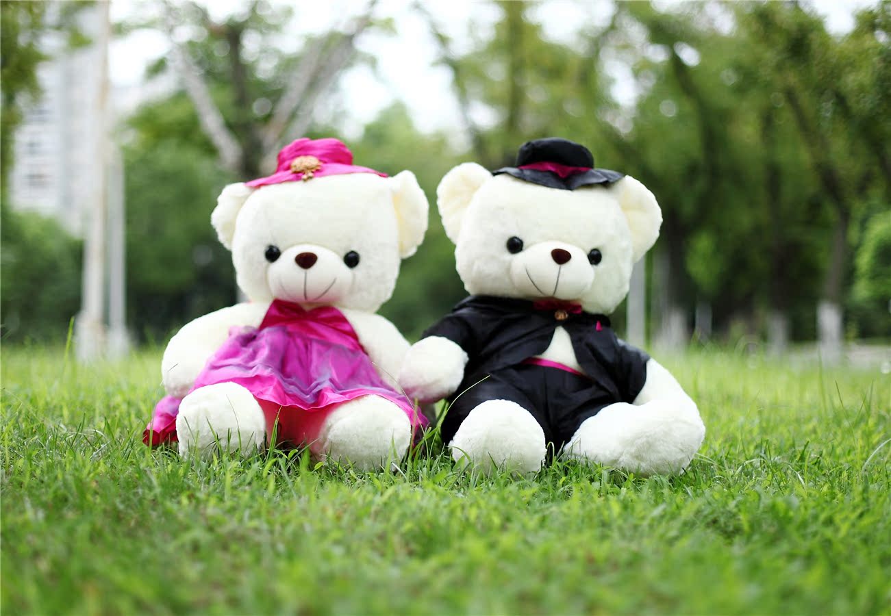 江苏扬州新品毛绒玩具婚纱熊 情侣泰迪熊 婚庆娃娃 压床娃娃一对结婚