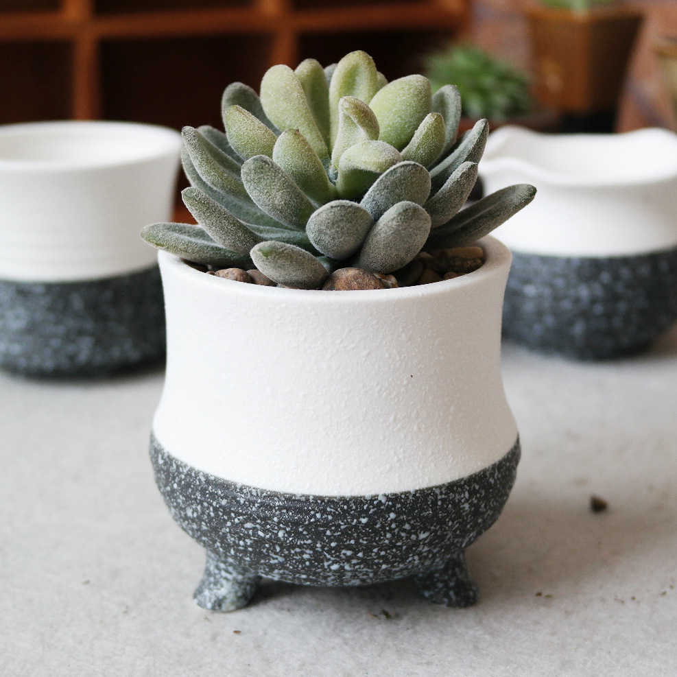 厂家新品zakka黑白喷点中温雪花釉多肉花盆小额批发陶瓷工艺品