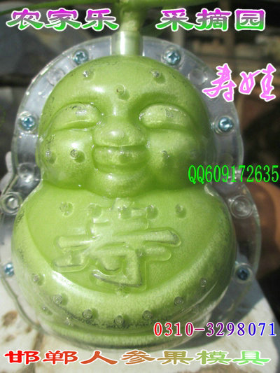 都认为选人参果模具一定认准邯郸裕华塑料厂生产的人参果模具,加邯郸
