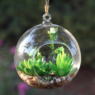 12cm水晶玻璃球仿真多肉植物盆栽微景观zakka摆件婚庆节日装饰品