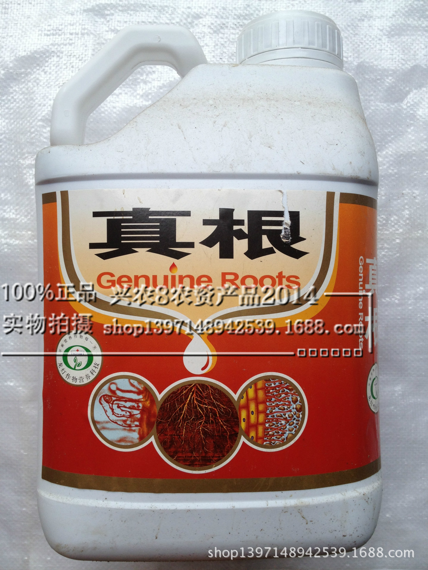 龙灯真根【根多多】--促根,养根专家最好的促根剂