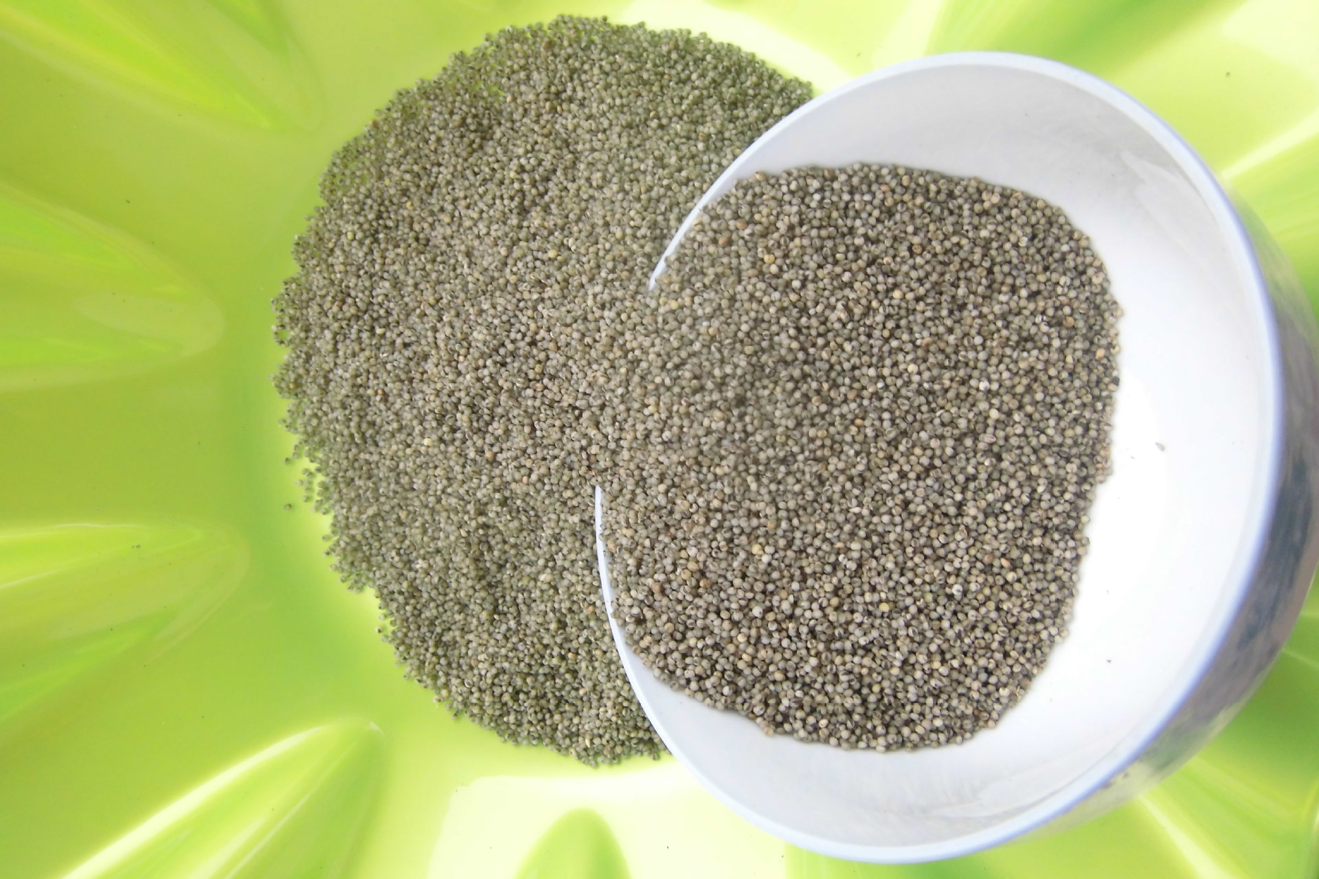 黑小米 绿小米 天然小米 杂粮批发 产地直销