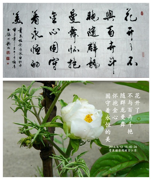 你看:那迎春花丛绽放的馨香四溢中,不是无数蚂蚱矫健的蹦跳吗!