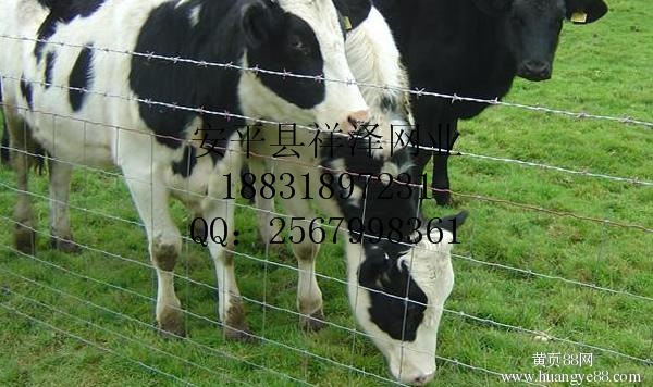 河北衡水牛栏网围栏 草原网护栏 养牛羊养殖铁丝网 厂家批发价格
