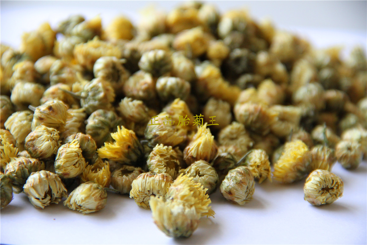 特价批发2013精选散装胎菊王 桐乡正品 口感纯正 混批各种花草茶