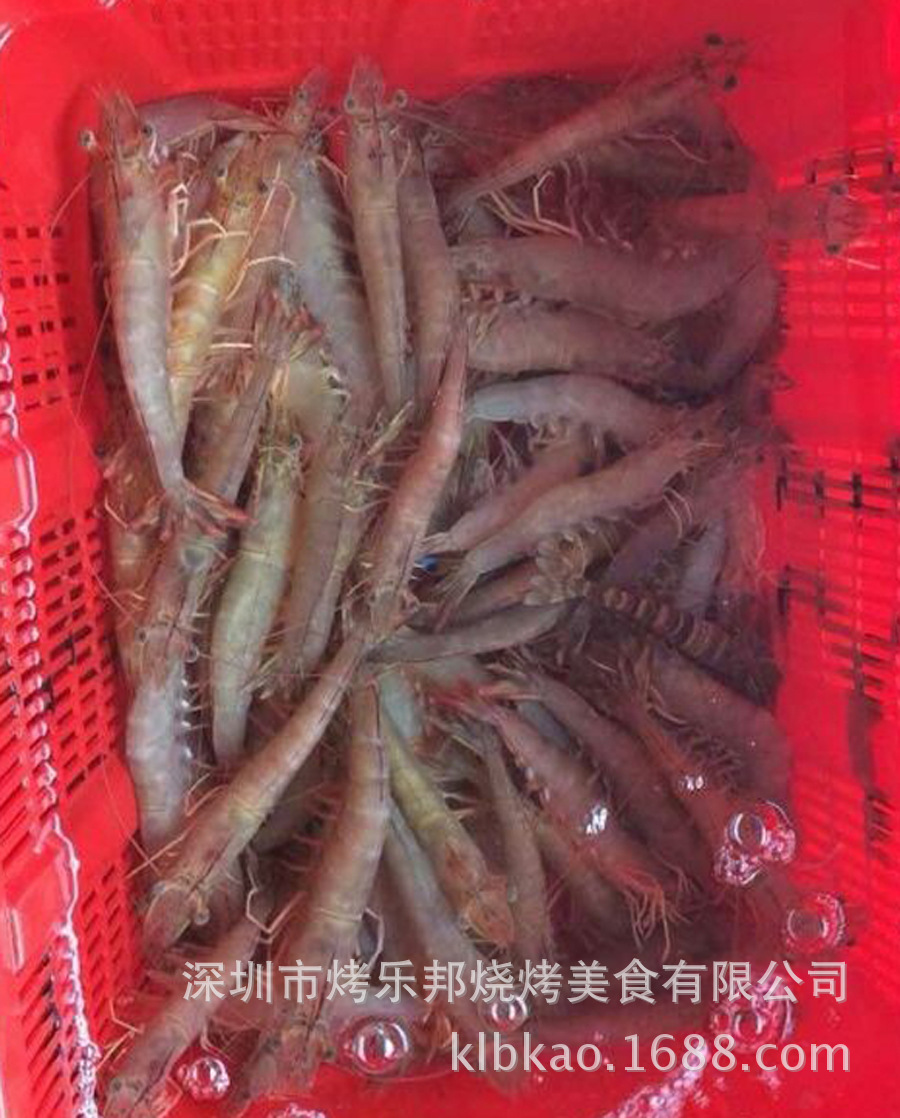 烤乐邦公司批发供应:养殖大白虾,10条/斤(大约)