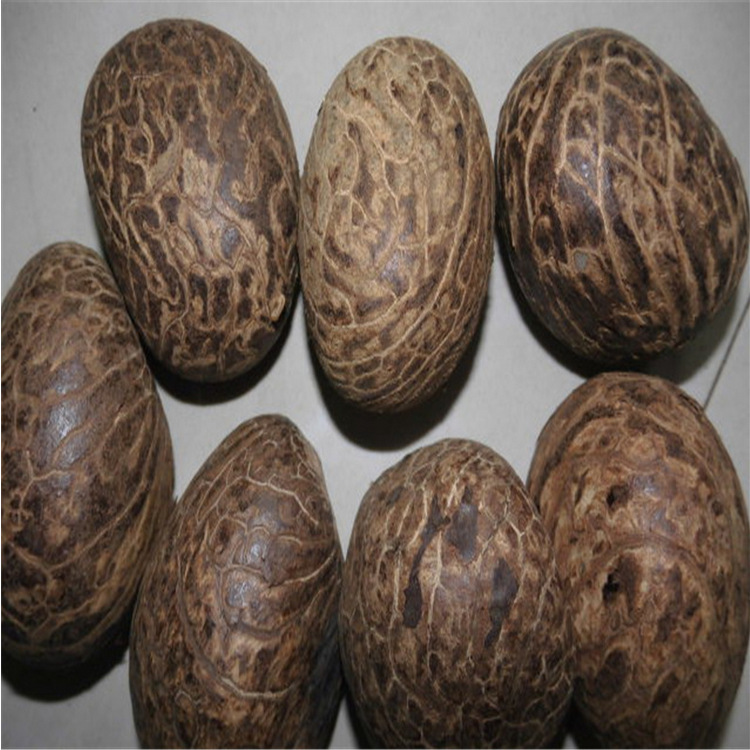 象牙果 象牙果原料 象牙果雕刻 千眼菩提雕刻 象牙果 原果批发