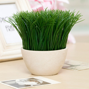 清新小草 仿真小盆栽/仿真青草/个性盆栽