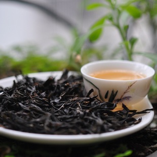 凤凰单丛凤凰单枞图片_凤凰单丛凤凰单枞图片大全