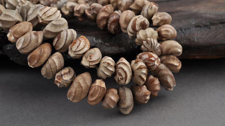 正品龙骨菩提复古天然藏式佛手菩提子108佛珠念珠持珠提珠籽原籽