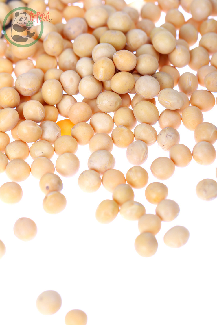 东北黄豆 农家自产非转基因 豆浆原料粒大饱满 品质保证