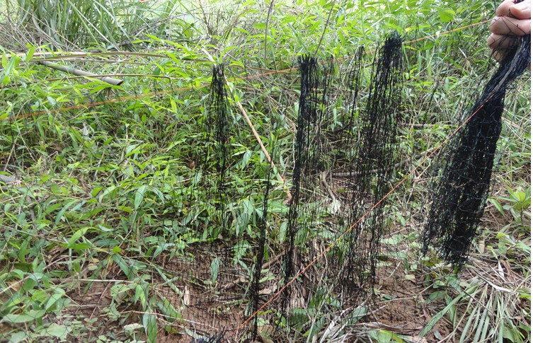 捕蛇网 抓蛇网10张包邮 送蛇袋 量大优惠 抓蛇 驱蛇网