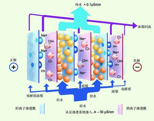【依乐科】纯水制取设备价格_厂家_图片