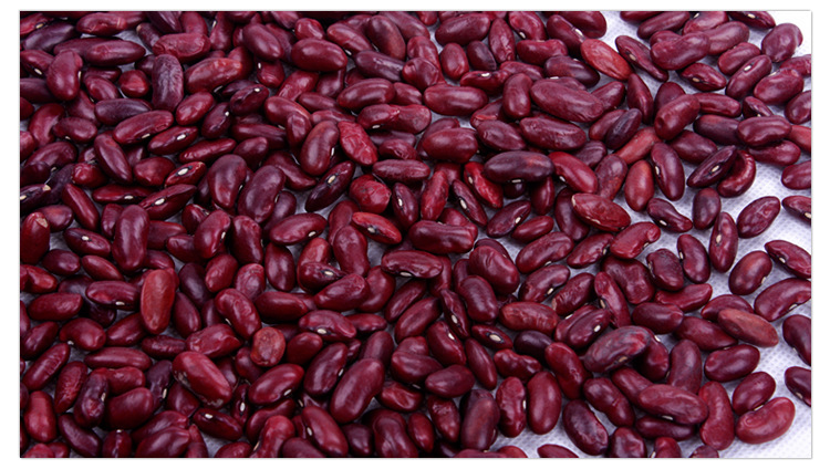 供应精选优质英国红芸豆,400g真空包装袋